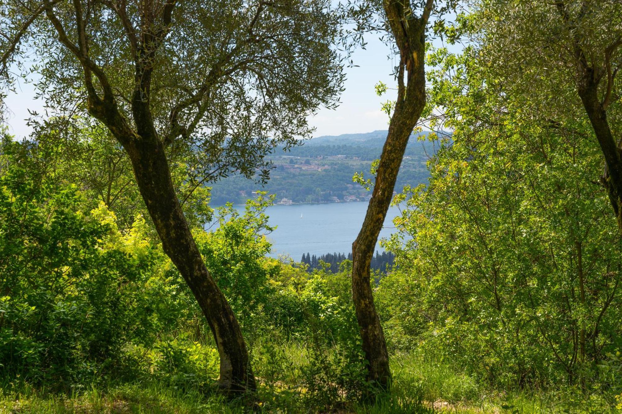Premignaga Natural Home Gardone Riviera Bagian luar foto