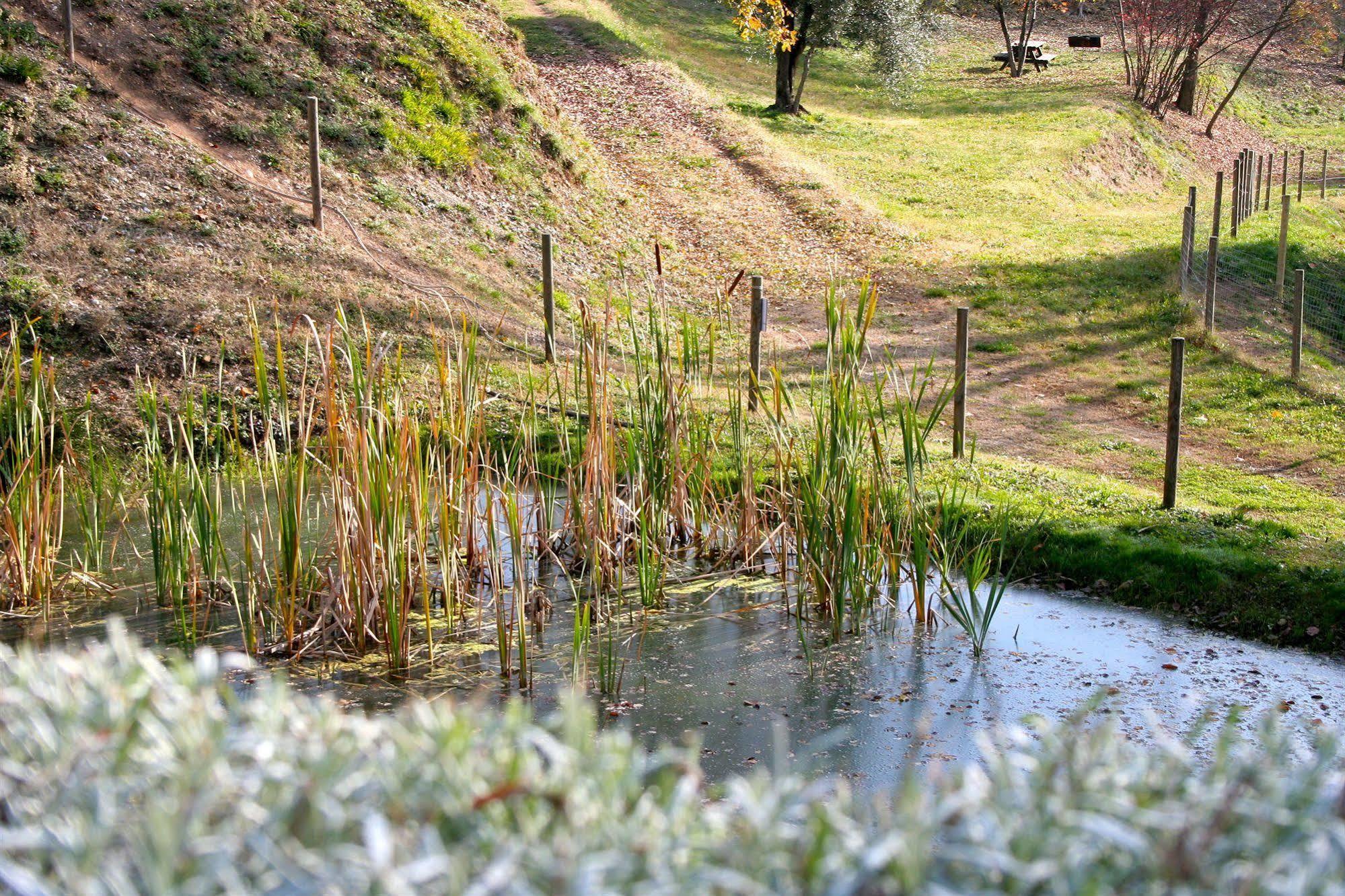 Premignaga Natural Home Gardone Riviera Bagian luar foto